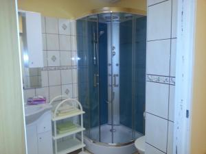 W łazience znajduje się prysznic ze szklanymi drzwiami. w obiekcie Pałac Jastrowiec w mieście Jastrowiec