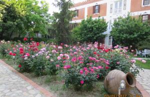 Vrt pred nastanitvijo Hotel Kalehan
