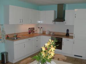 a kitchen with white cabinets and a sink and a plant at Haus Renarth - Michaela Pro in Kitzeck im Sausal