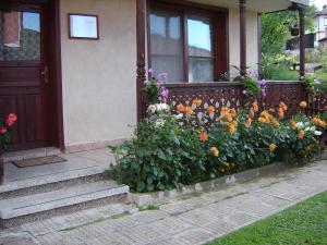 Zahrada ubytování Guest Rooms Dona