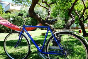 Una bicicleta azul estacionada en el césped junto a un árbol en Villa Maria, en Mondello
