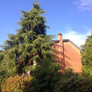 un grand arbre devant un bâtiment en briques dans l'établissement B&B Il Picchio, à Bologne