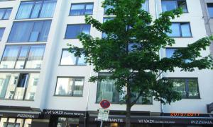 a tree in front of a white building at Mars in Munich