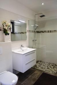 Un baño con lavabo, inodoro y ducha. en le relais de tiuccia, en Casaglione