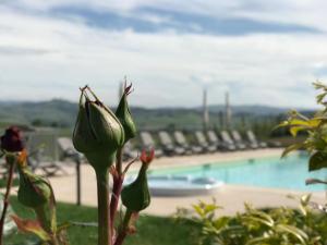 Bazén v ubytovaní NaturalMente Wine Resort alebo v jeho blízkosti