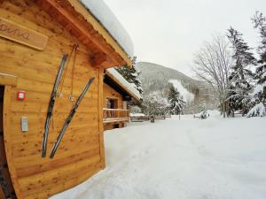 a log cabin in the snow with skis on the door at Chalet Alpina Hotel & Apartments in La Thuile