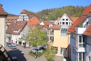 een luchtzicht op een stad met huizen bij Ferienwohnungen-Gmuend Stadtherberge Mühlbergle in Schwäbisch Gmünd