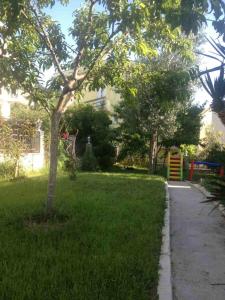 Zahrada ubytování Apartments Svetlana