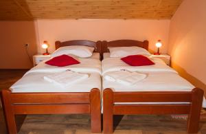 two beds in a bedroom with red pillows on them at Vila Julija - Apartment & rooms in Otočac