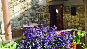 A garden outside Appartamento Armonia