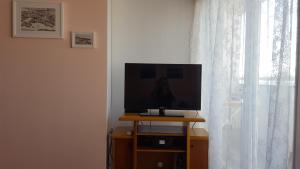 Televízia a/alebo spoločenská miestnosť v ubytovaní Apartment Maka