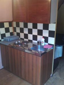 Köök või kööginurk majutusasutuses Ada Bojana Apartmani