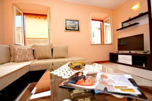 TV a/nebo společenská místnost v ubytování Apartment Martina