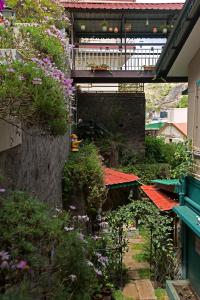 Pine Borough Inn外面的花园