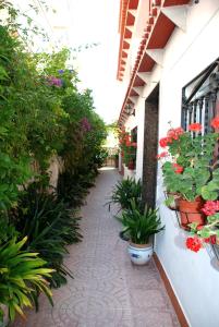 a walkway with potted plants on the side of a building at Apartamentos Inter Gandia Playa in Playa de Gandia