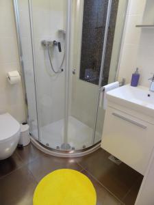 Koupelna v ubytování Apartment Bezic