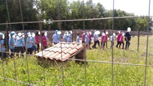 Un gruppo di persone in piedi in un campo dietro una recinzione di Agriturismo Agrimilo a Noto