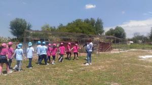 un gruppo di bambini in camicie rosa in piedi in un campo di Agriturismo Agrimilo a Noto