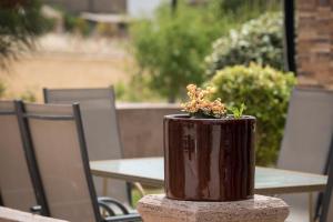 a chocolate cake with flowers in it sitting on a table at Areti Suites in Kathiana