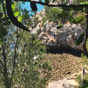 a rocky hillside with trees and the ocean in the background at Casa do Farol da Arrábida in Portinho da Arrábida