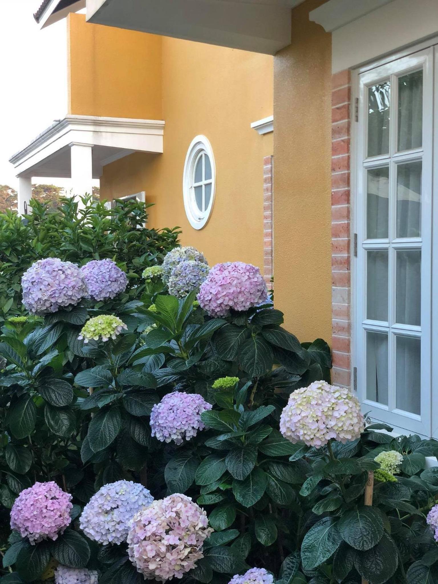 BICH DAO Boutique - Dalat