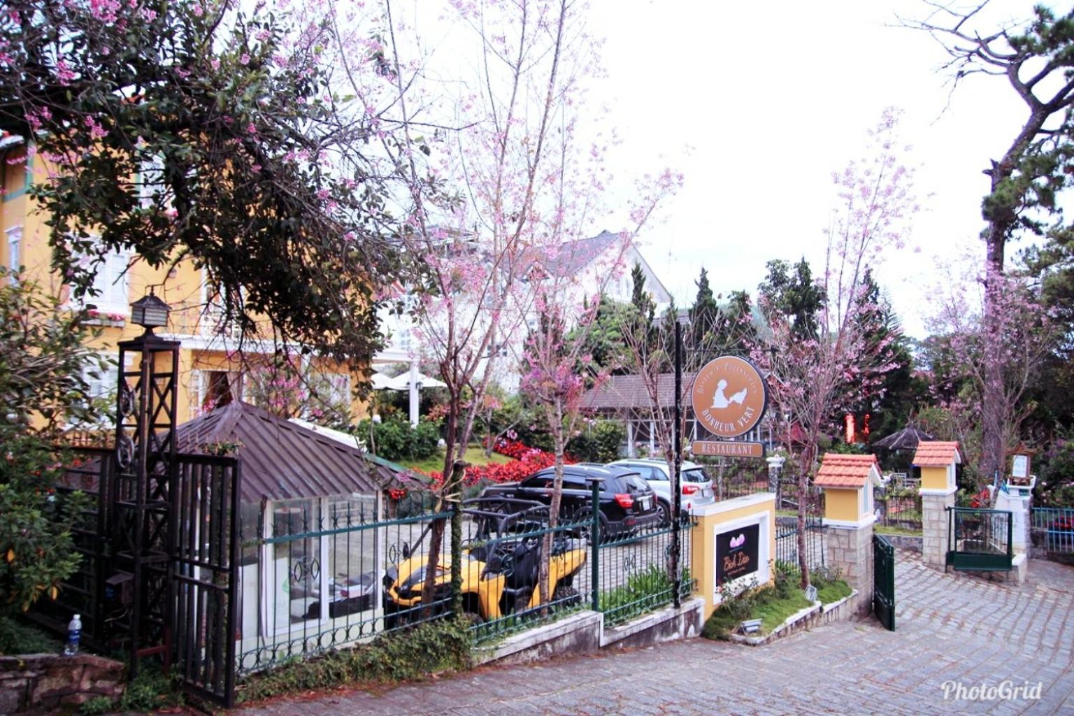 BICH DAO Boutique - Dalat