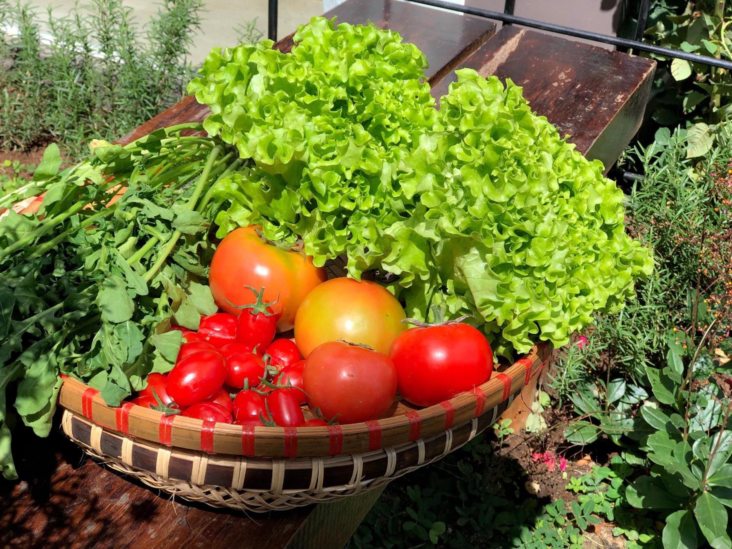 ROY VILLA COFFEE
