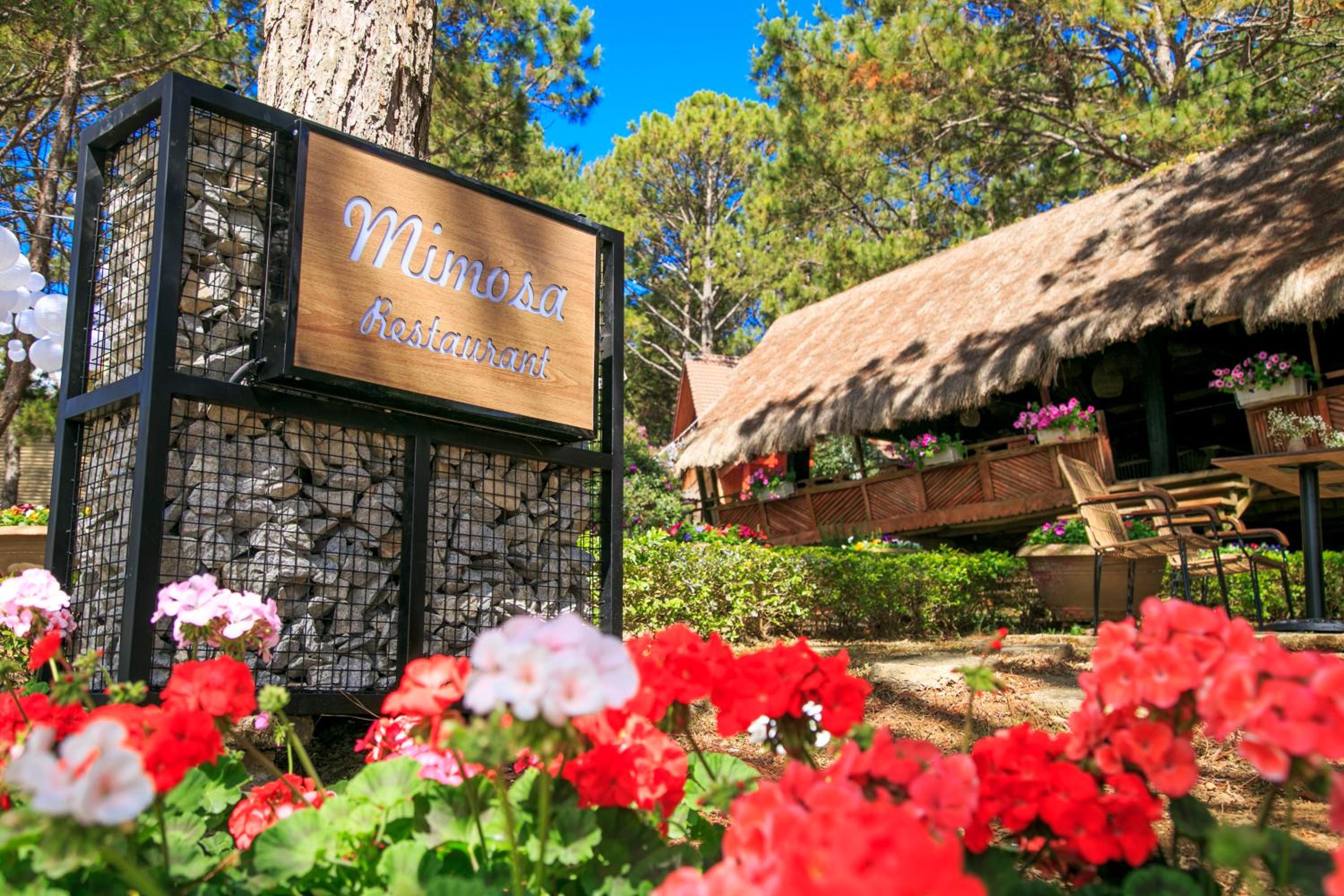 TTC Dreamy Hill Resort - Unlimited Access to TTC World - Thung Lung Tinh Yeu