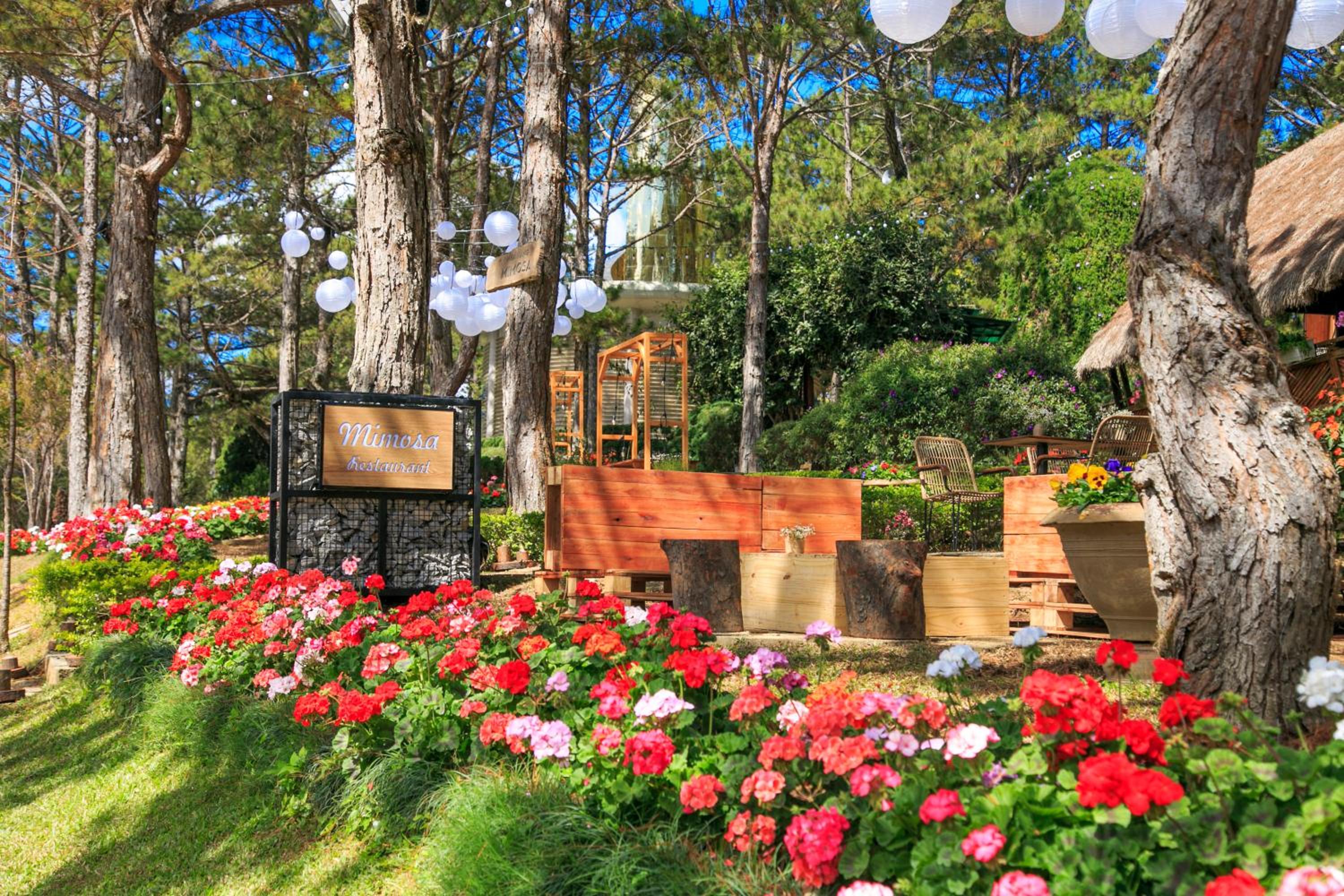 TTC Dreamy Hill Resort - Unlimited Access to TTC World - Thung Lung Tinh Yeu