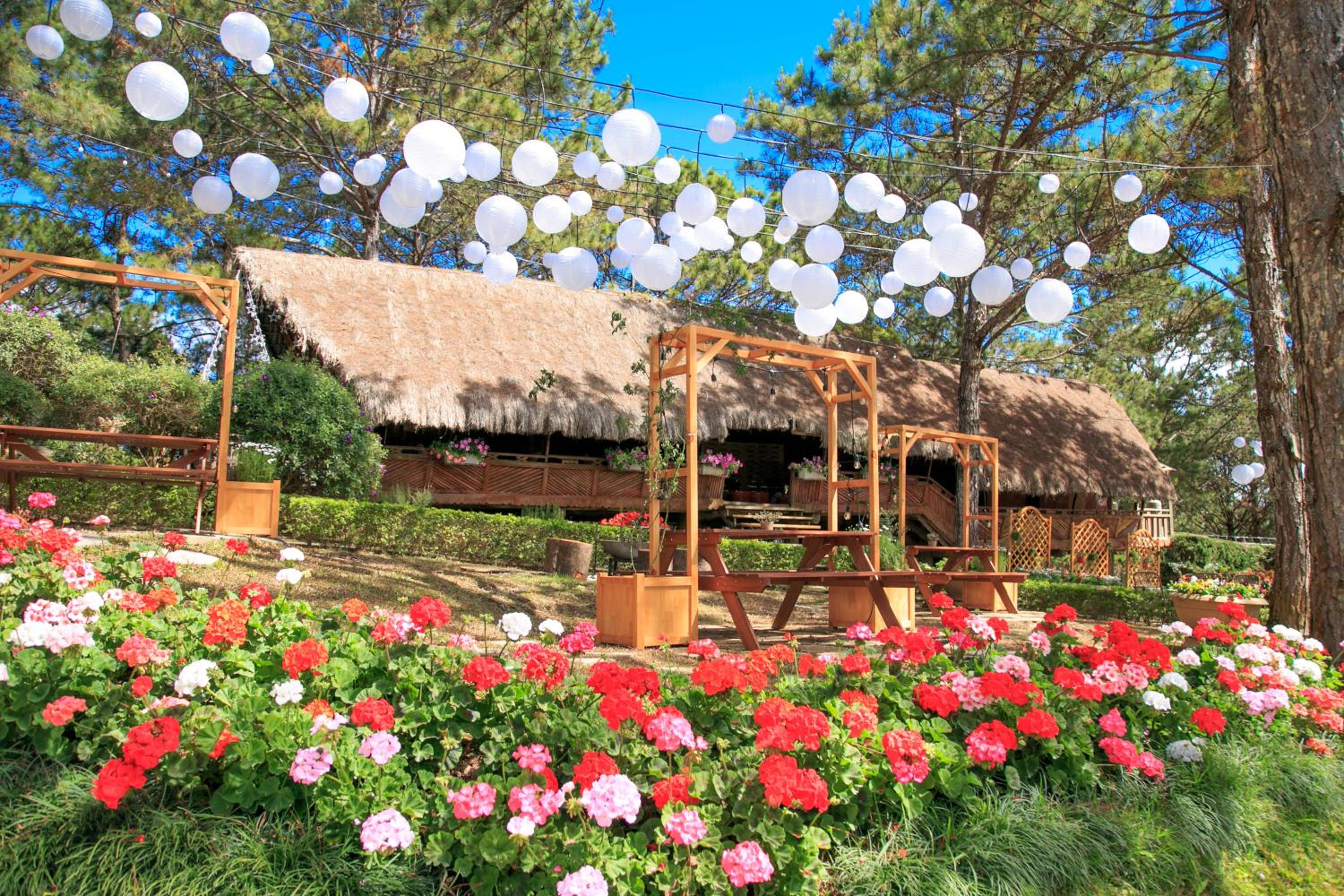 TTC Dreamy Hill Resort - Unlimited Access to TTC World - Thung Lung Tinh Yeu