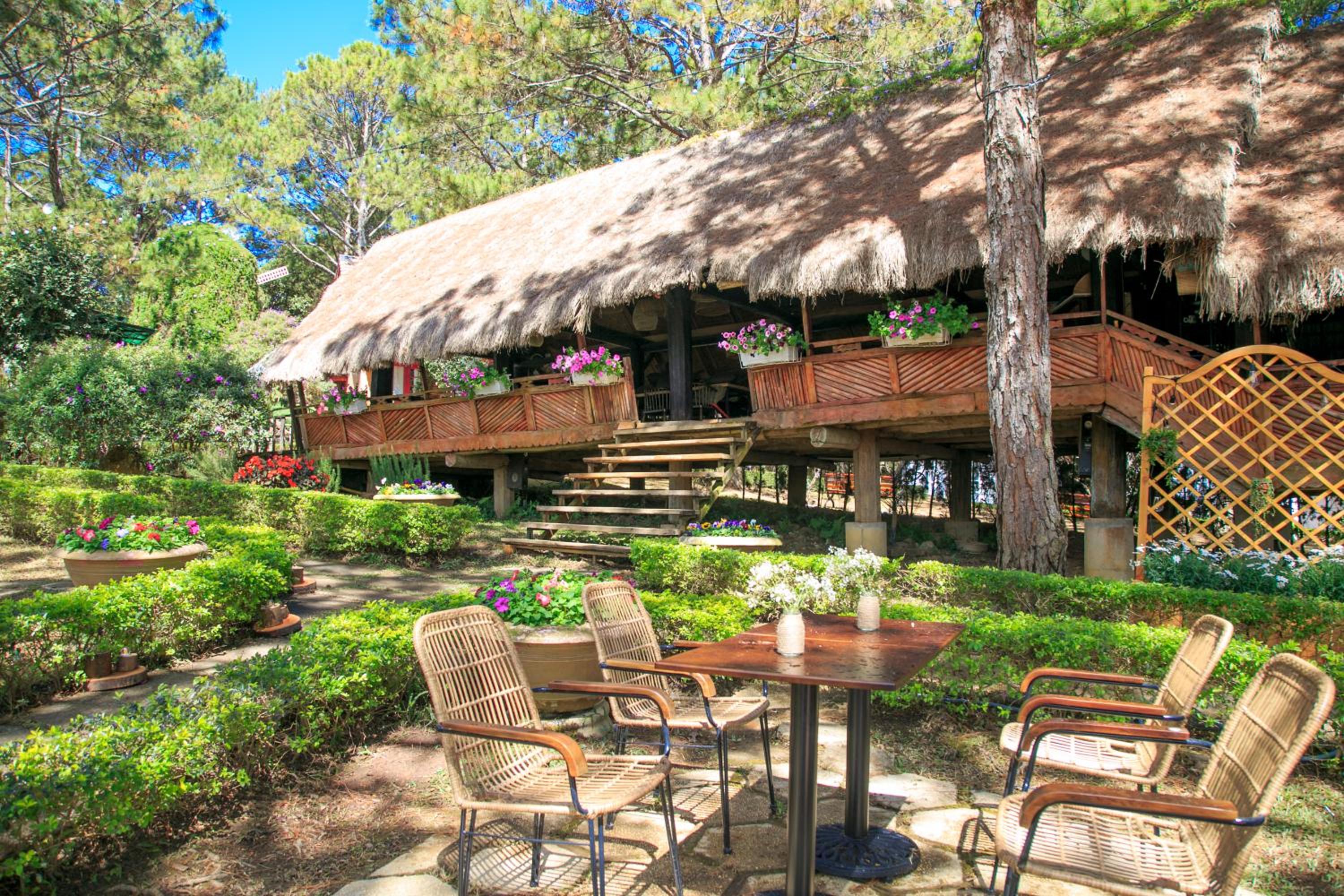 TTC Dreamy Hill Resort - Unlimited Access to TTC World - Thung Lung Tinh Yeu