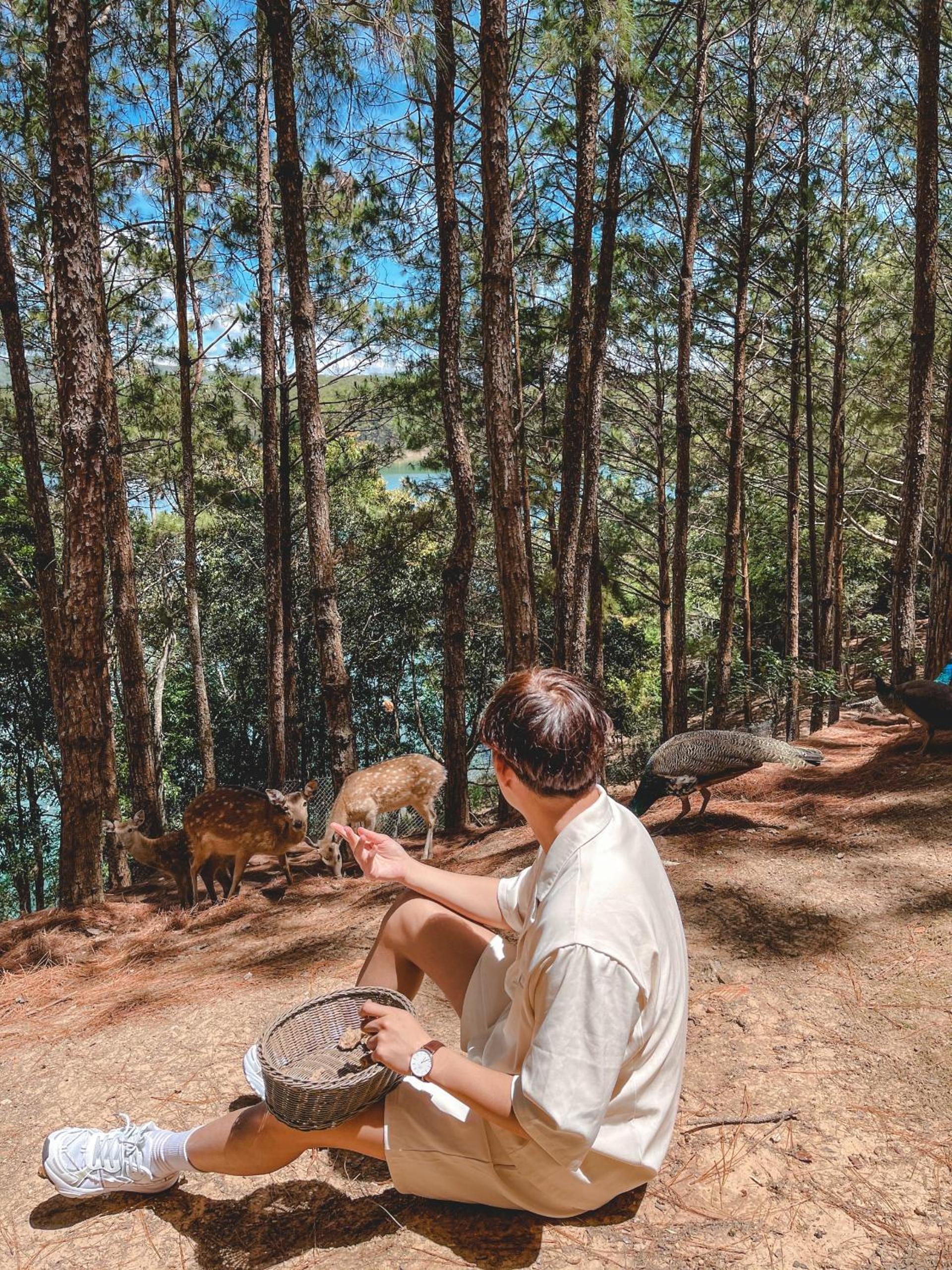Dalat Edensee Lake Resort & Spa