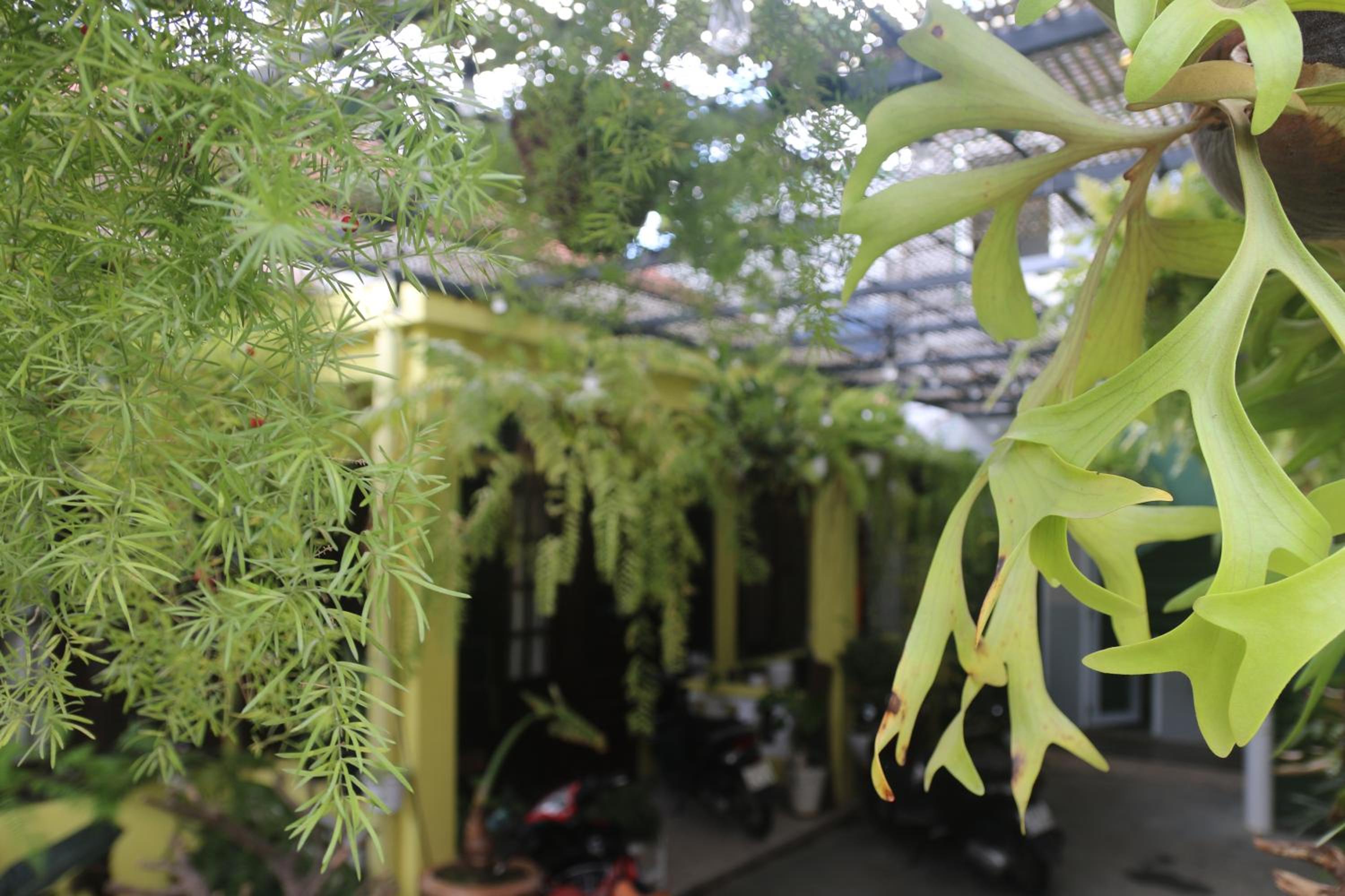 Dốc Garden Homestay Đà Lạt