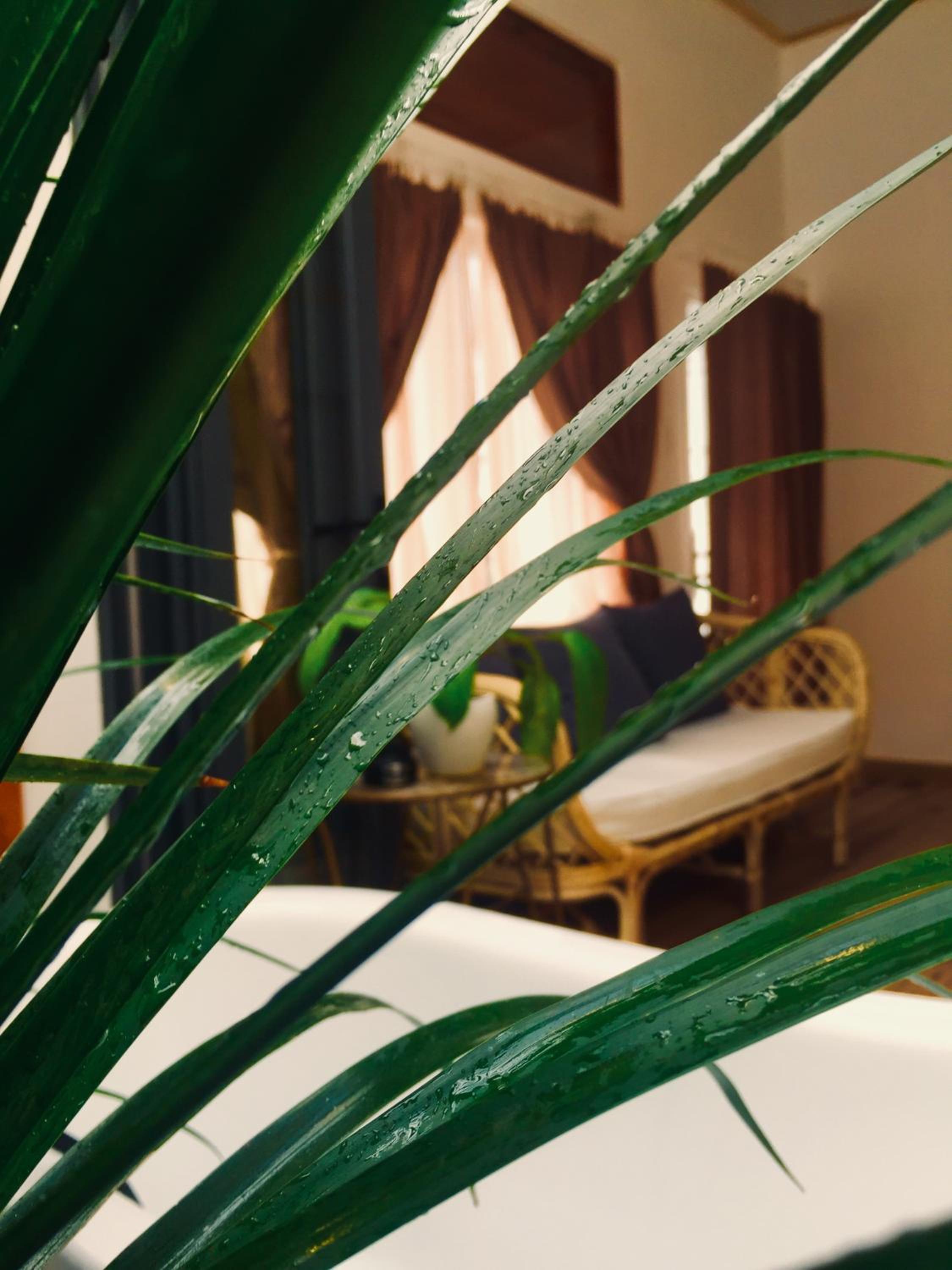Dốc Garden Homestay Đà Lạt