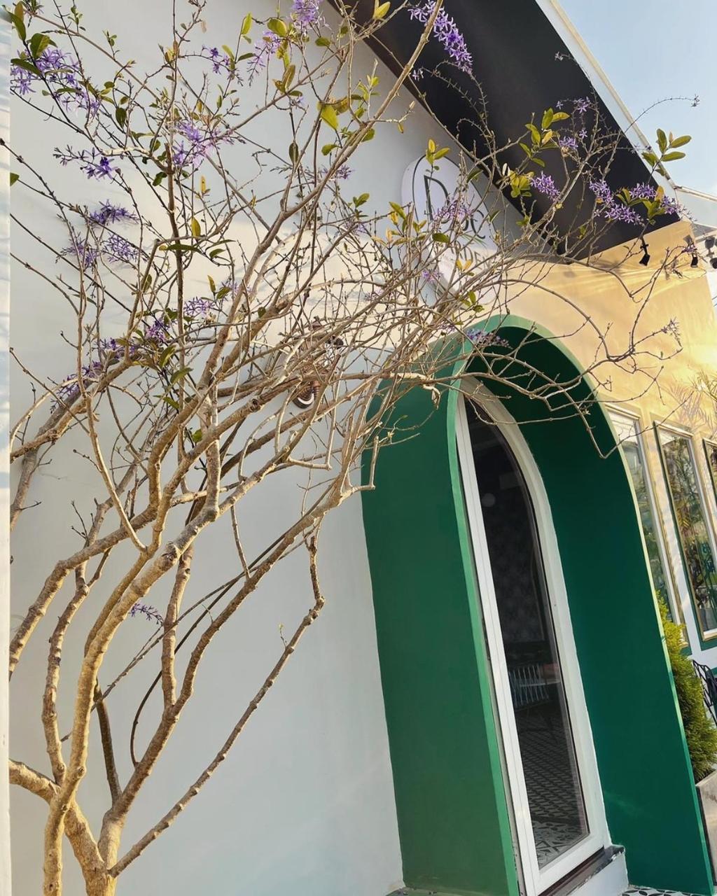 Dốc Garden Homestay Đà Lạt