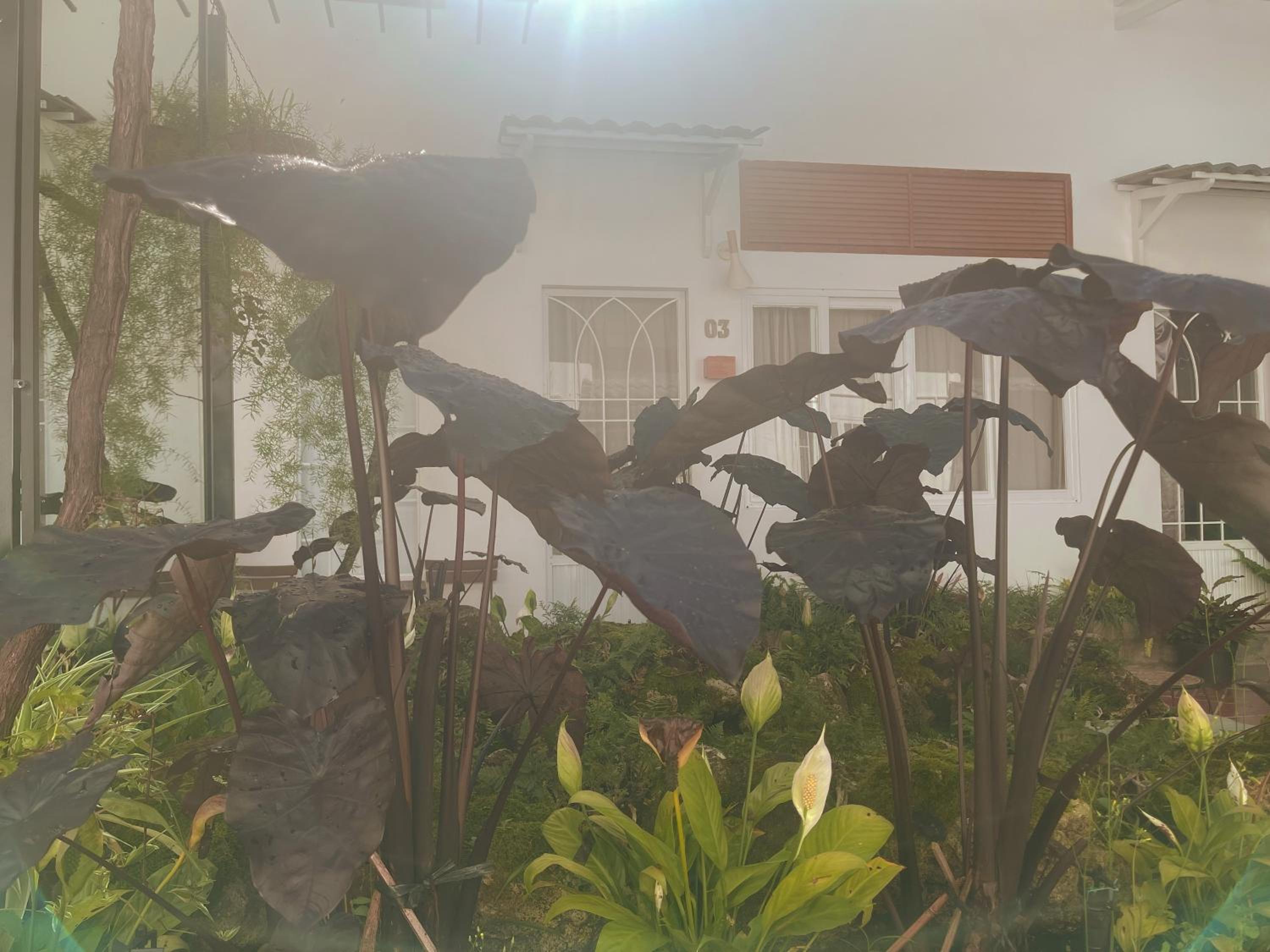 Dốc Garden Homestay Đà Lạt
