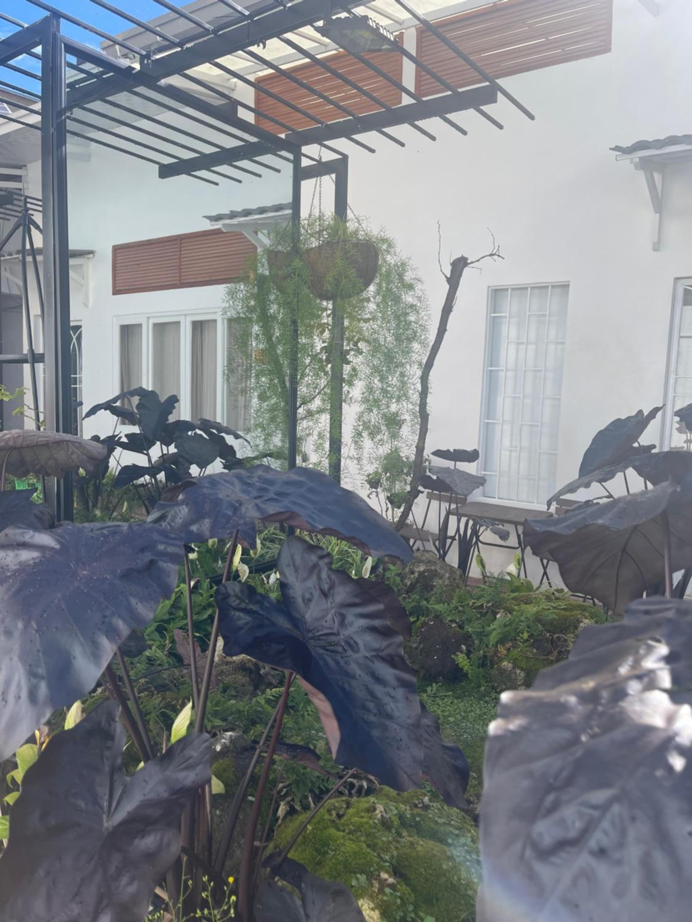 Dốc Garden Homestay Đà Lạt