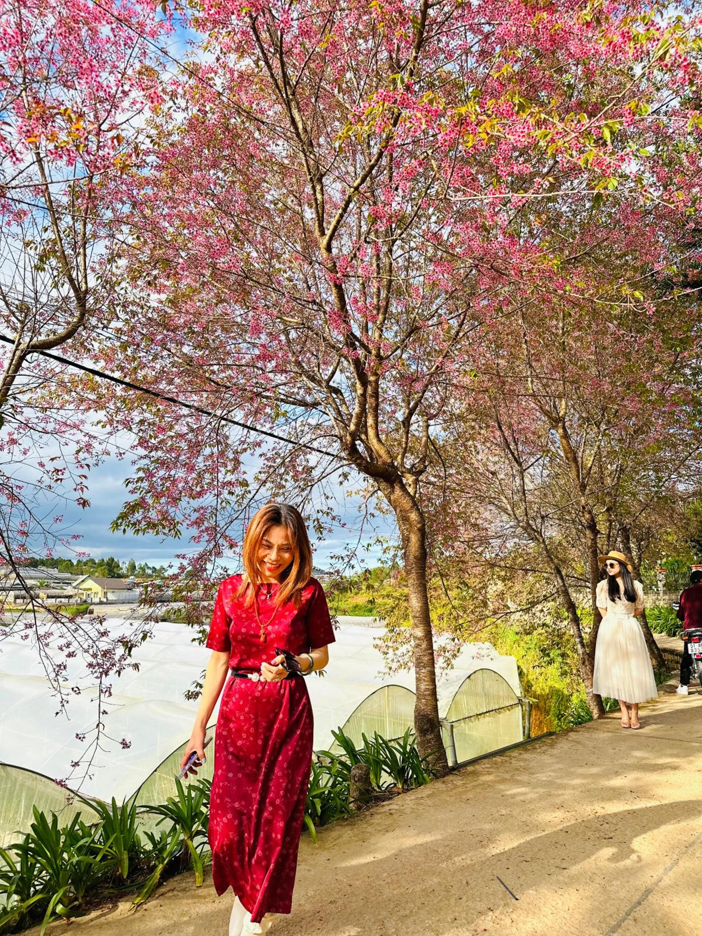 DALAT STREAM HOTEL-Khách sạn đẹp Đà Lạt