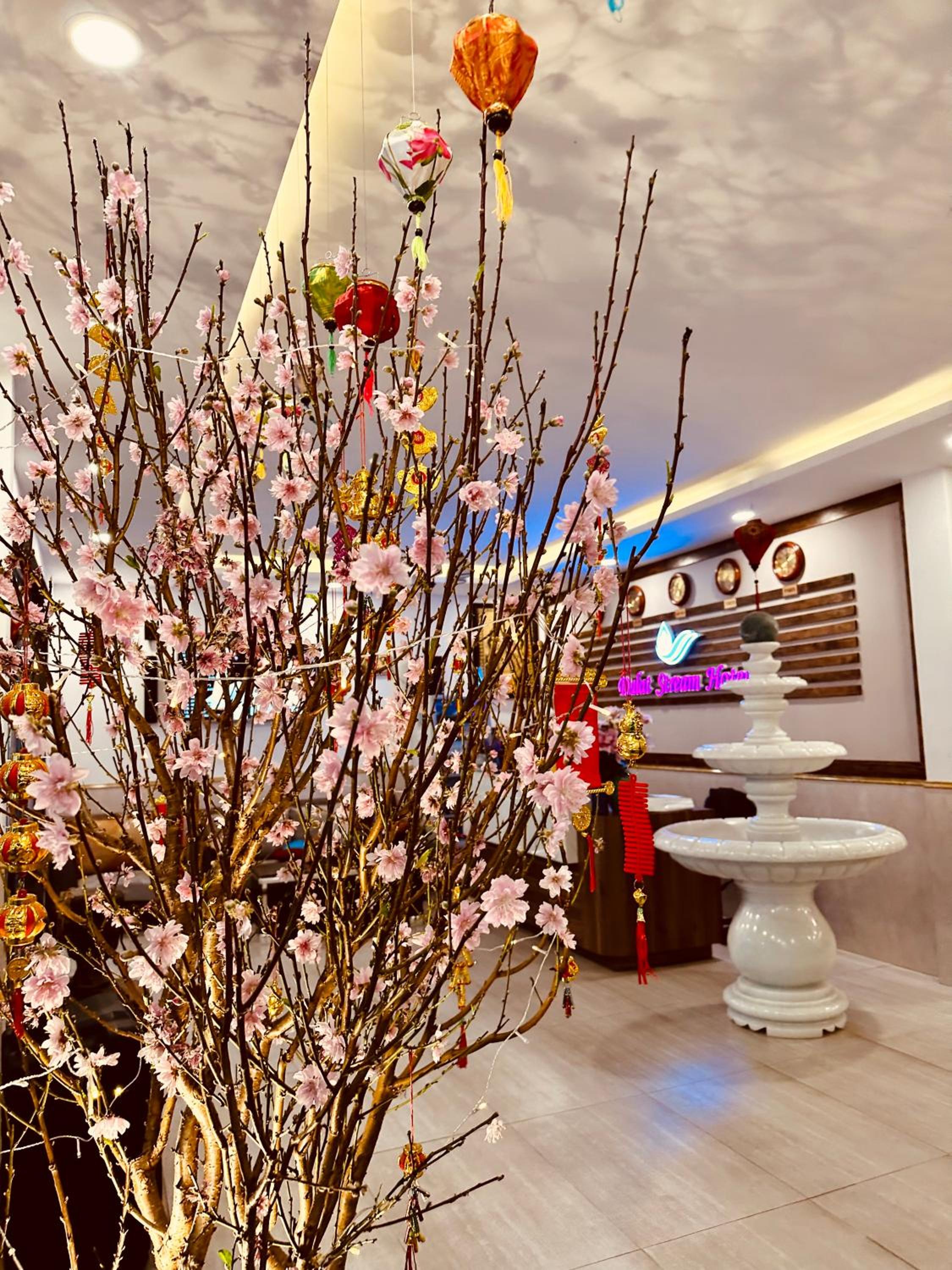 DALAT STREAM HOTEL-Khách sạn đẹp Đà Lạt