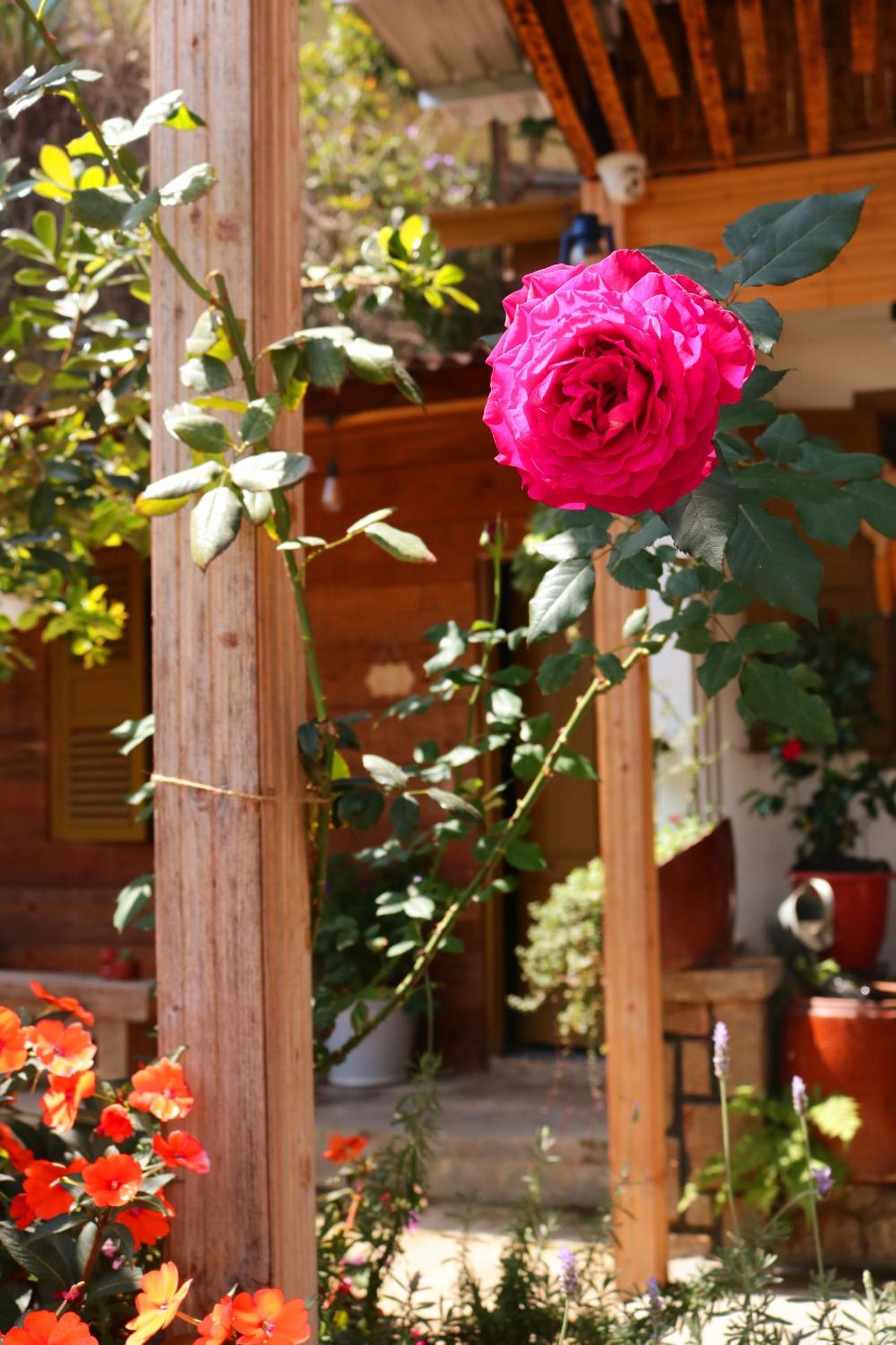 Soul PnB Homestay