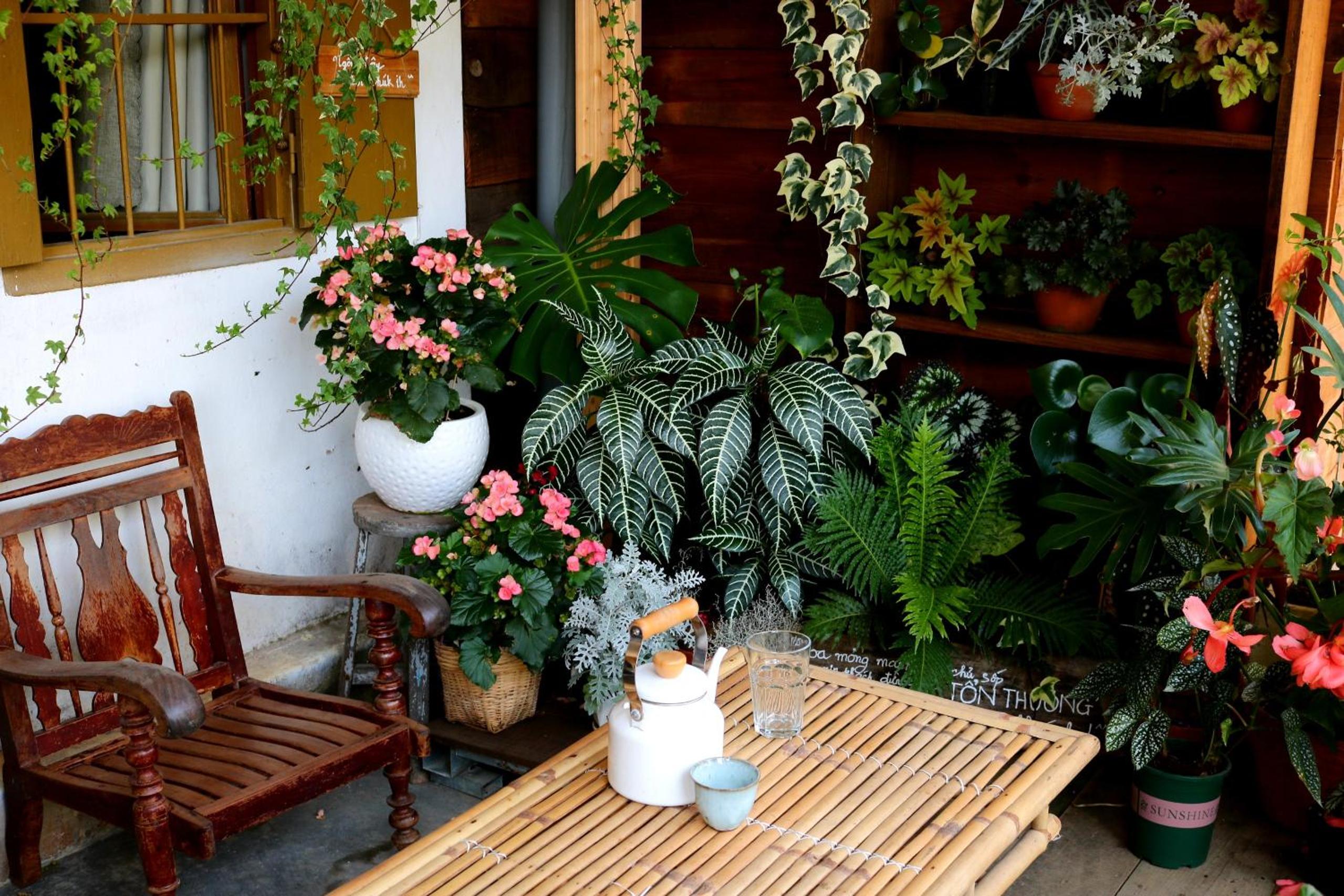 Soul PnB Homestay