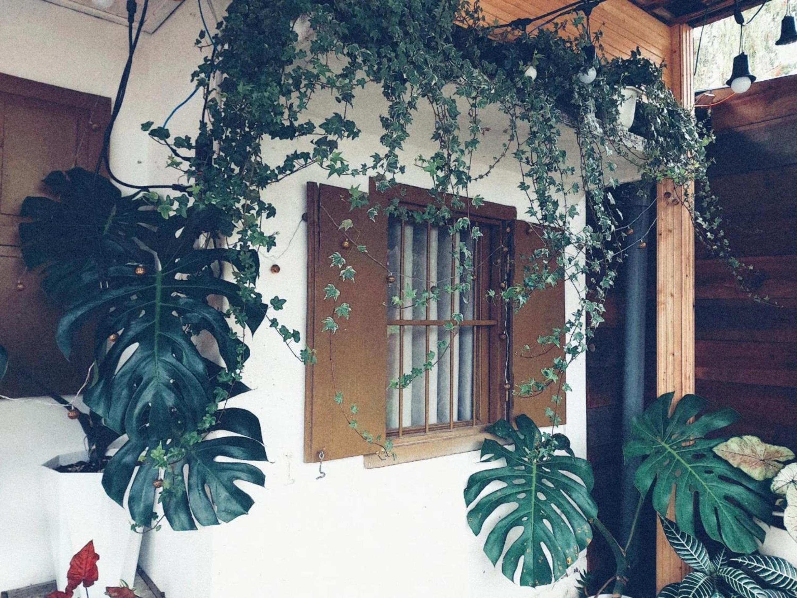 Soul PnB Homestay