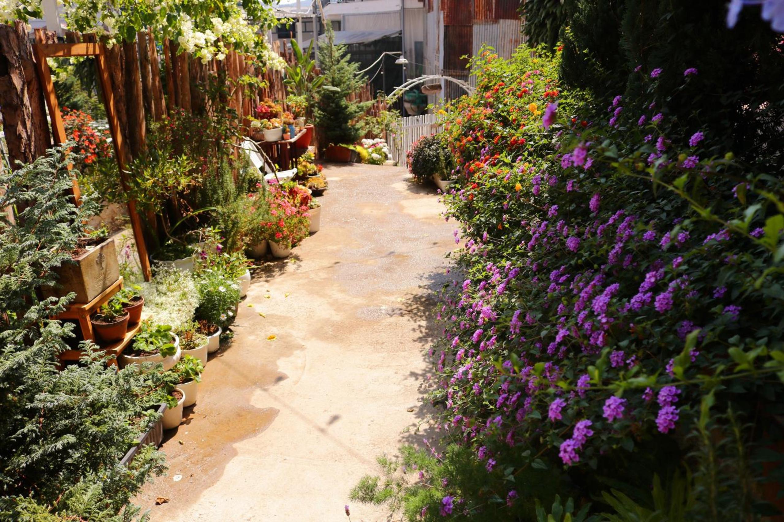 Soul PnB Homestay