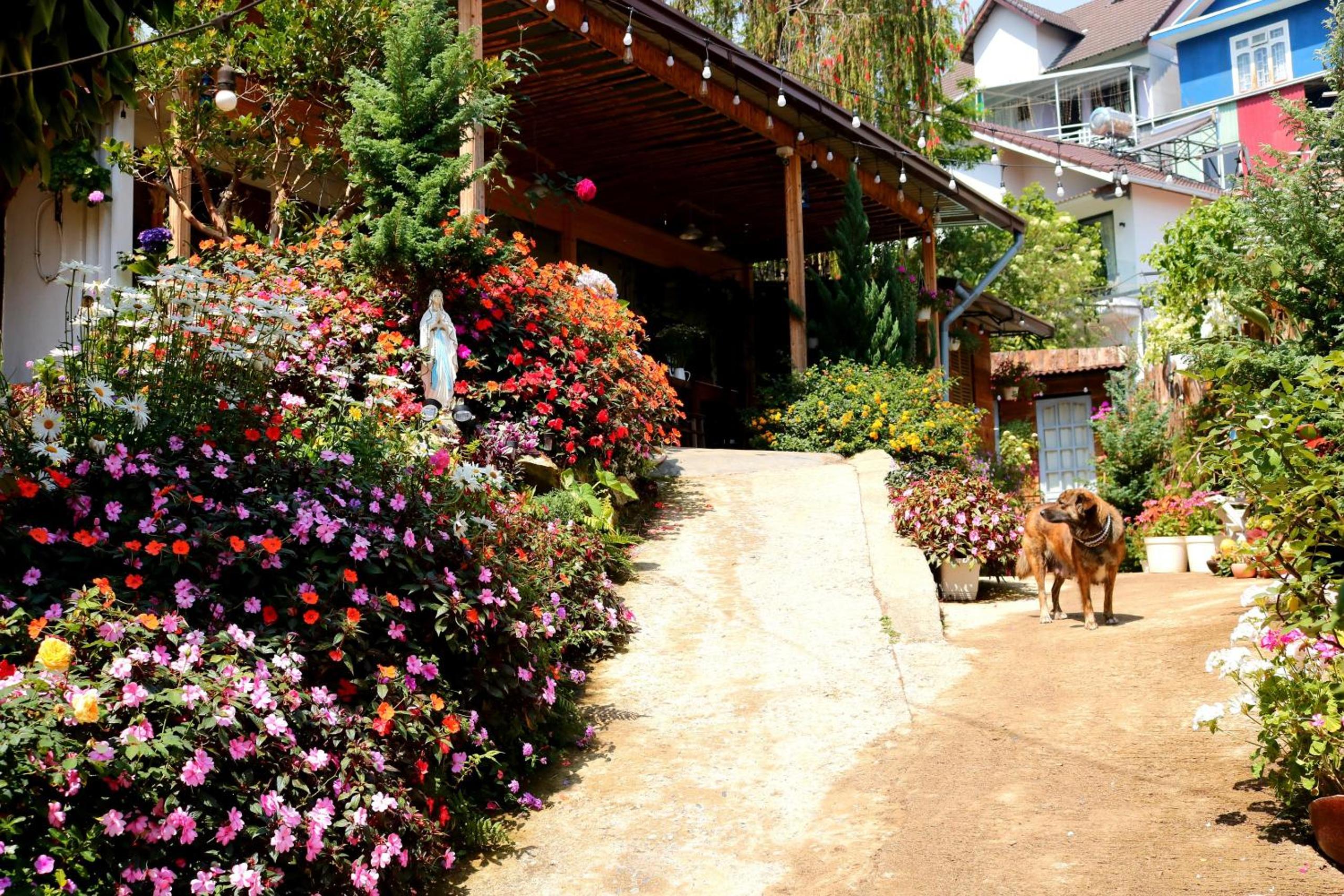 Soul PnB Homestay