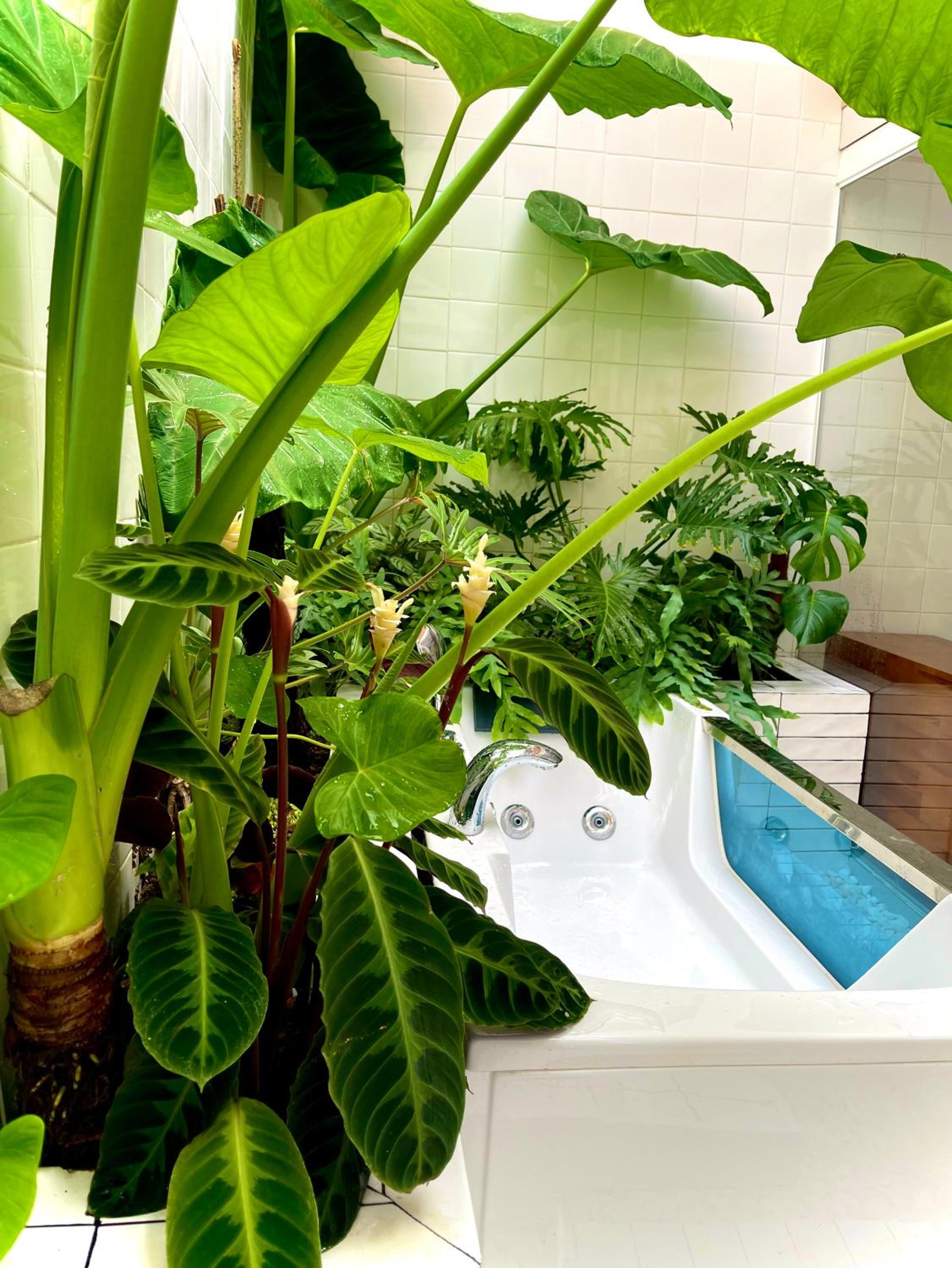 Dốc Garden Homestay Đà Lạt