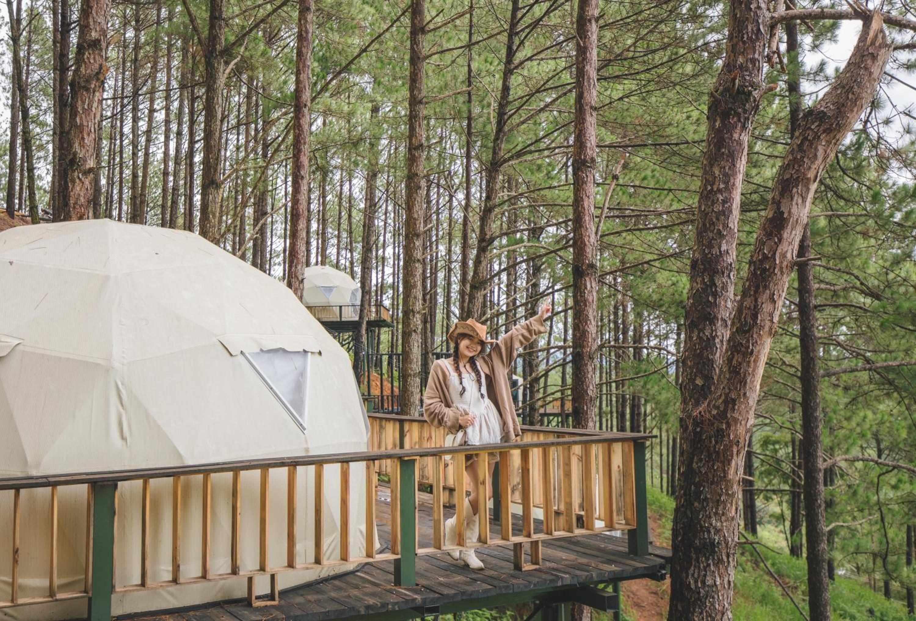 Lavender Dalat Hotel and Resorts