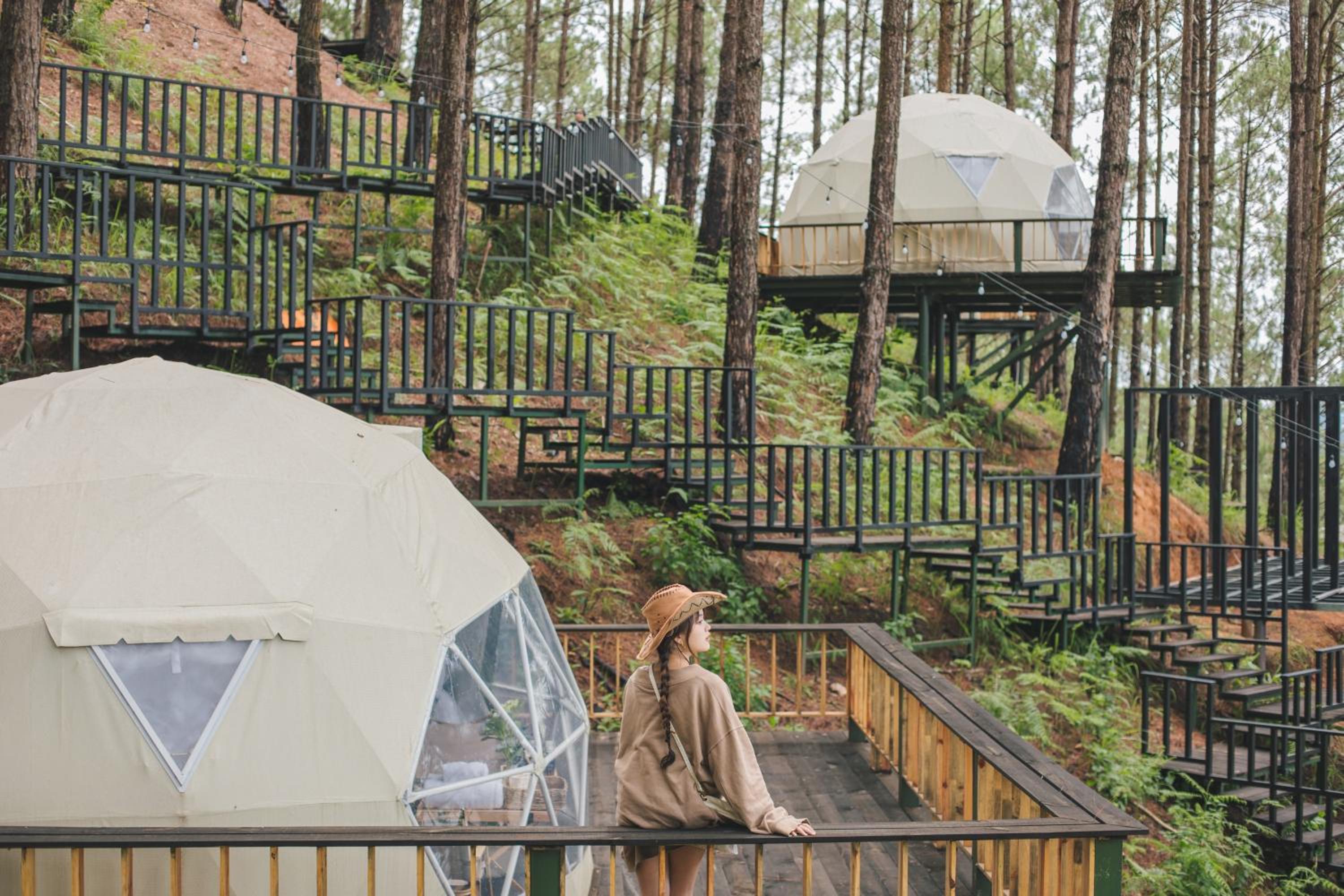 Lavender Dalat Hotel and Resorts