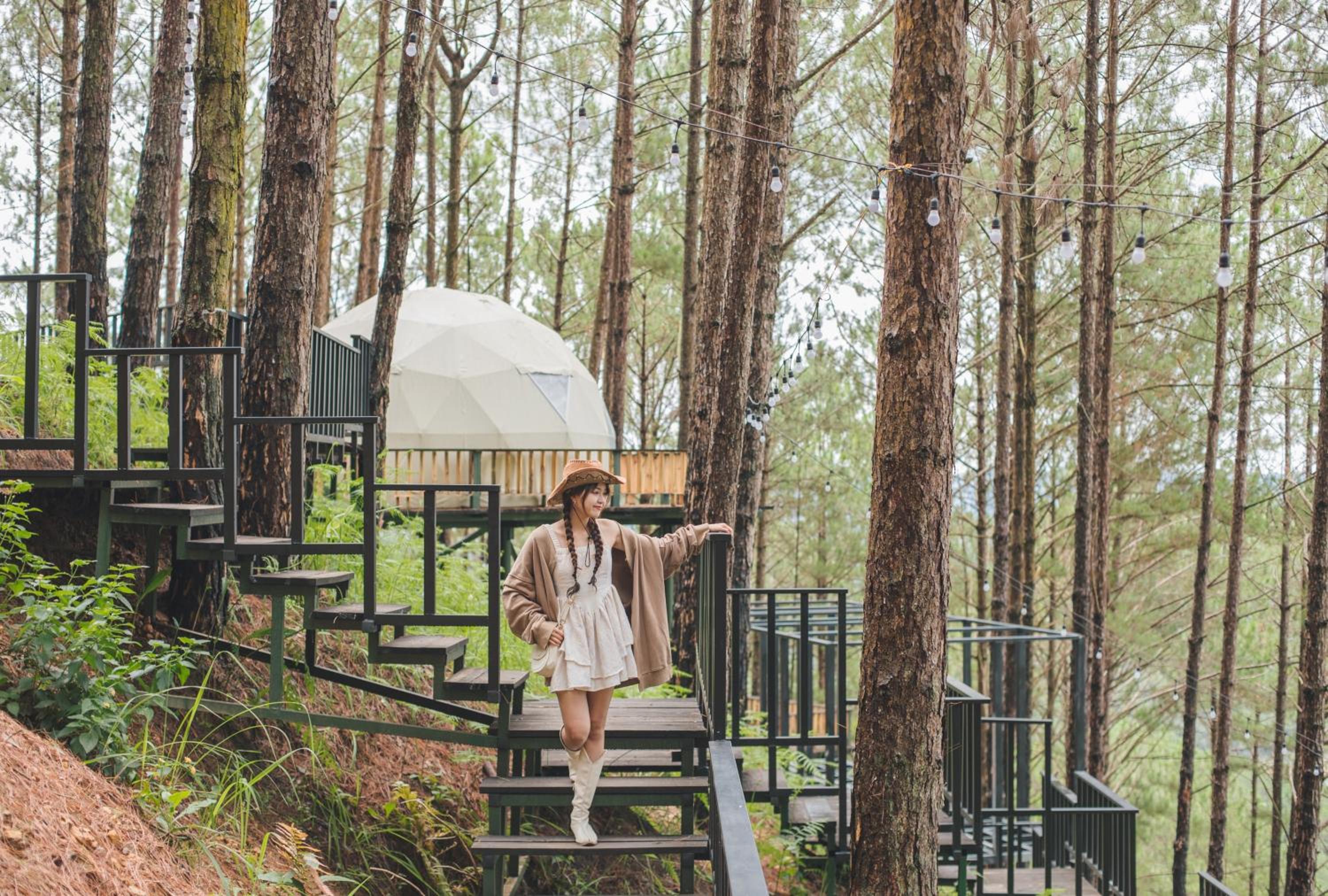 Lavender Dalat Hotel and Resorts