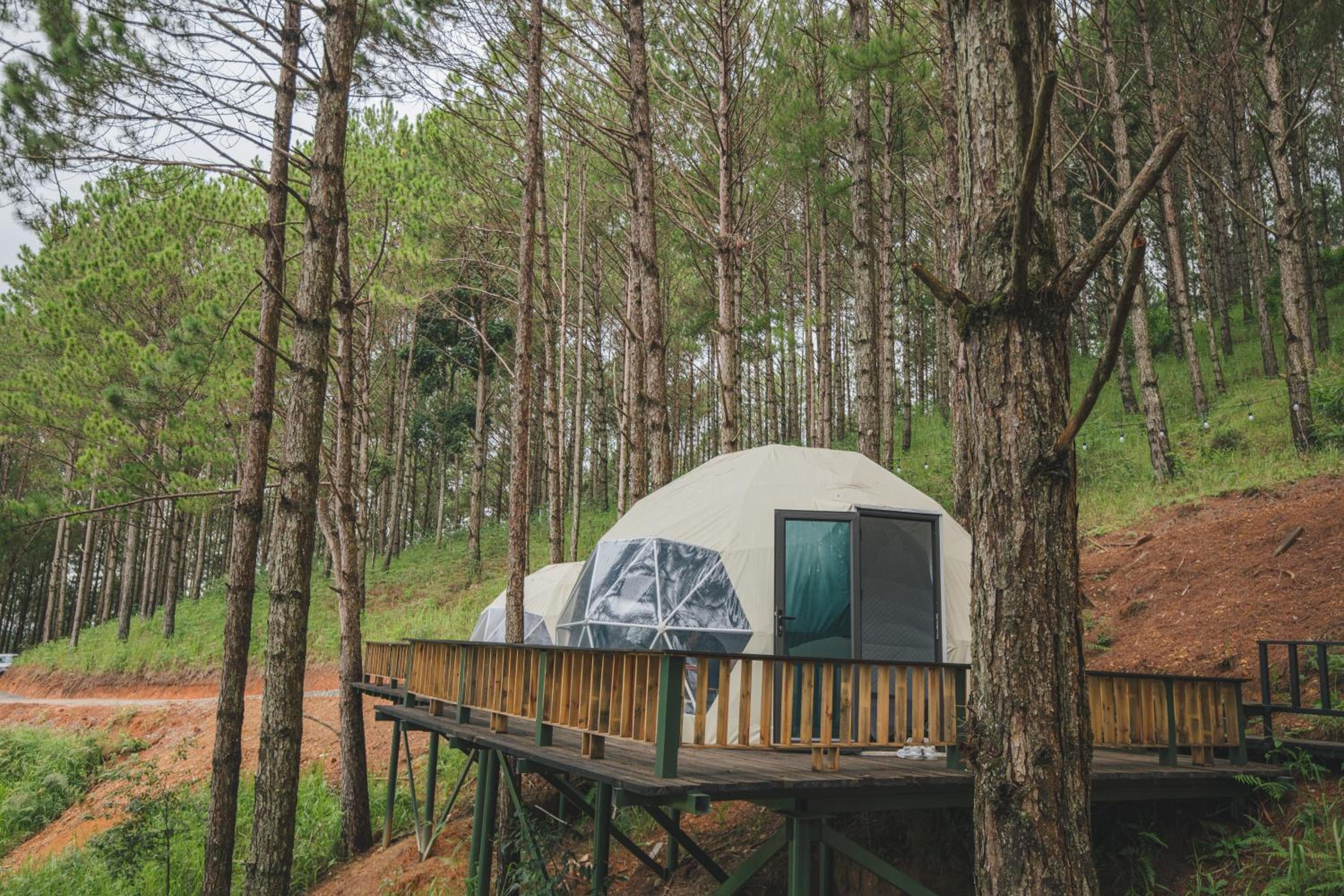 Lavender Dalat Hotel and Resorts