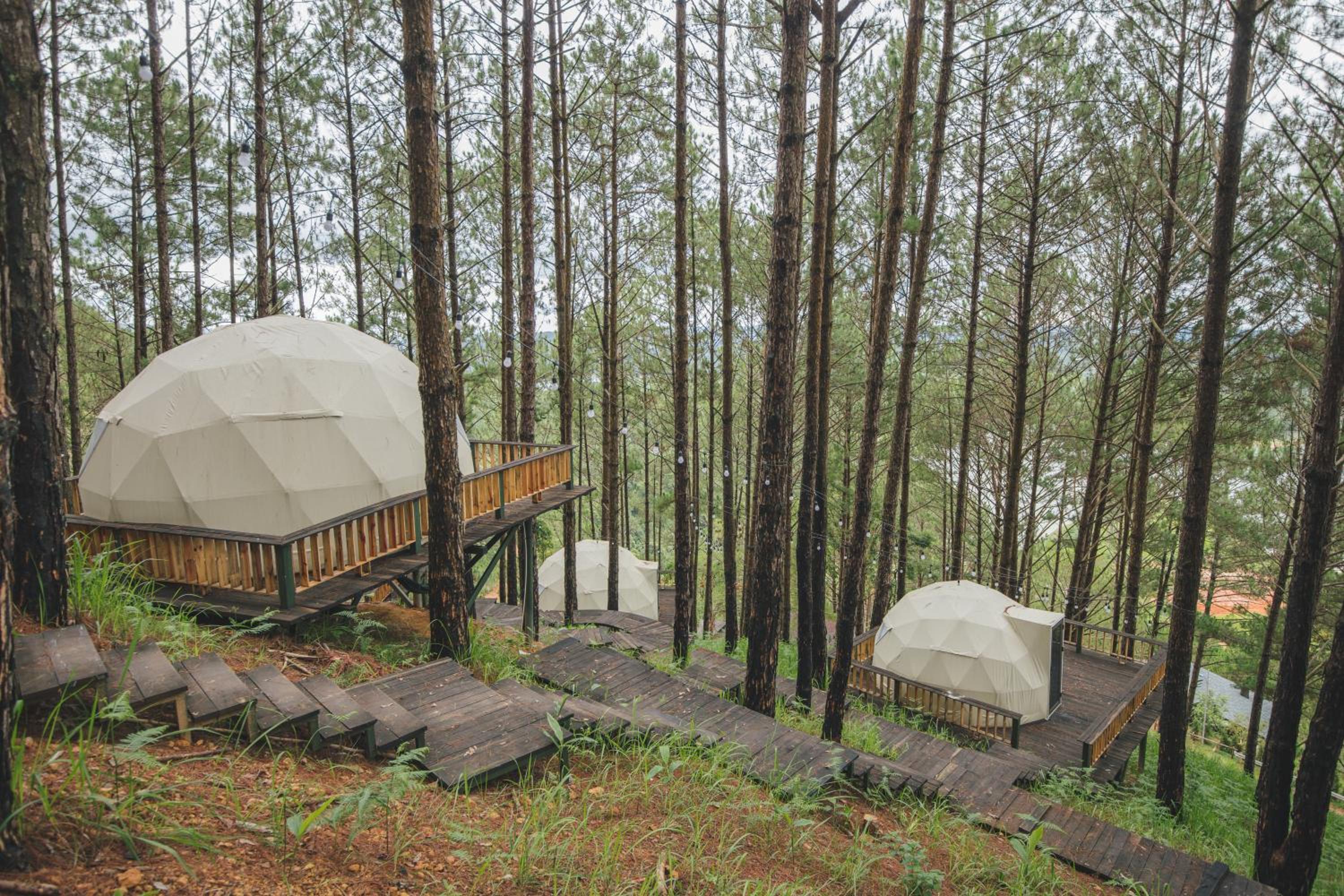 Lavender Dalat Hotel and Resorts